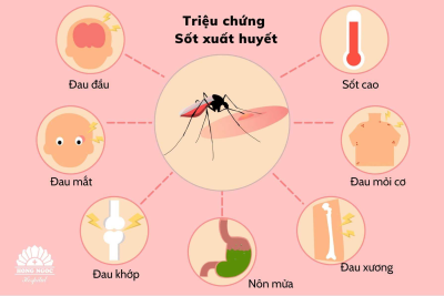 Tuyên truyền về bệnh sốt xuất huyết